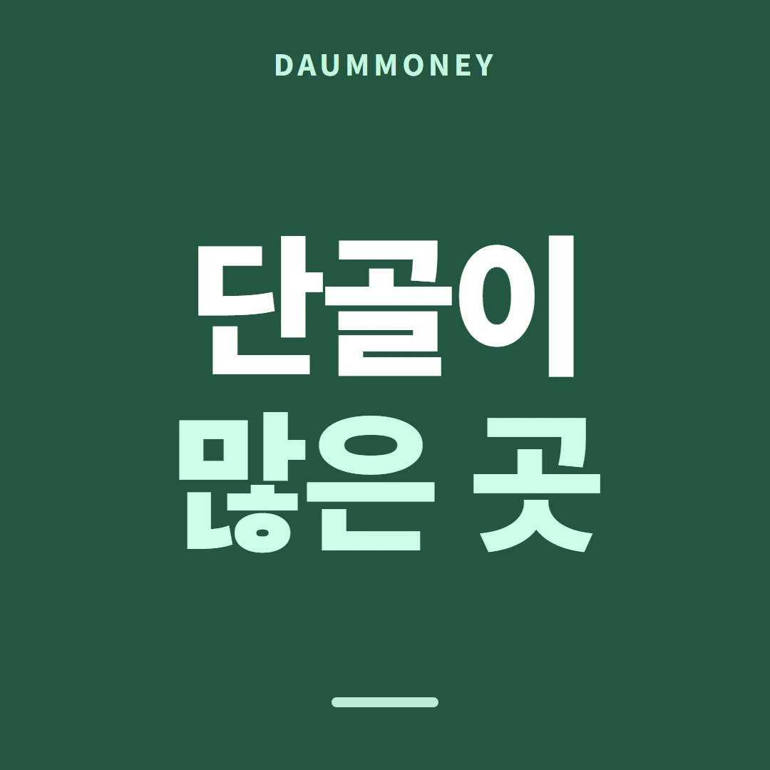 다음머니 카드현금화방법 헷갈림 가지 안내 카드 배너